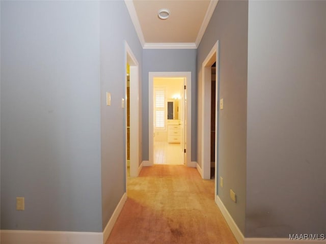 hall with baseboards, light carpet, and crown molding