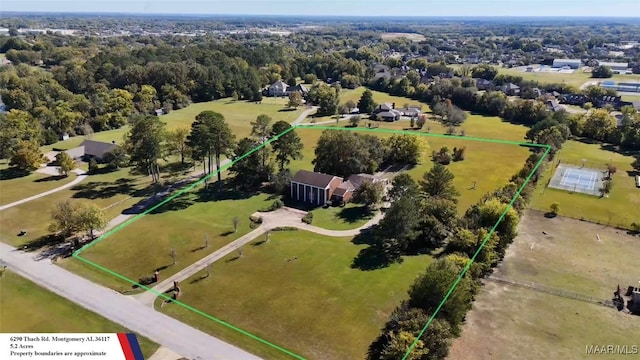 aerial view