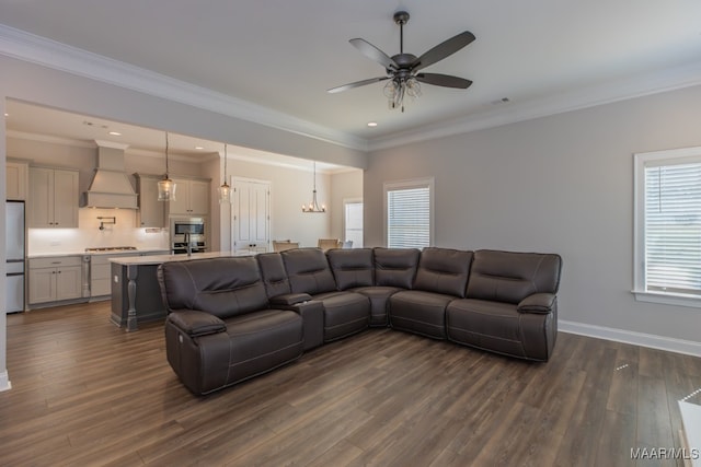 living room with crown molding, dark hardwood / wood-style floors, and ceiling fan with notable chandelier