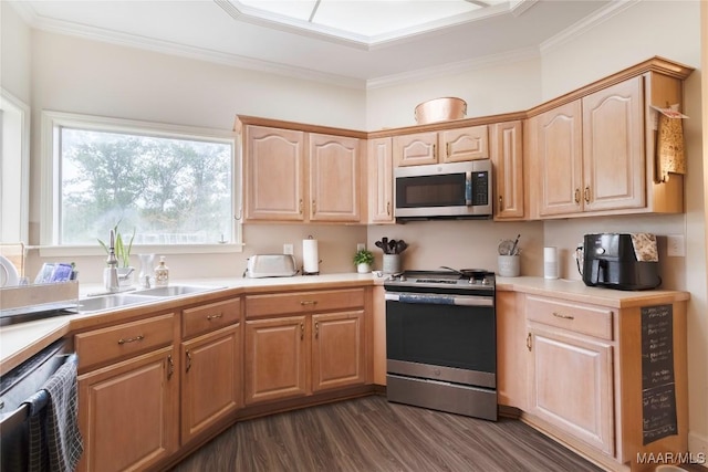 kitchen featuring light brown cabinets, light countertops, appliances with stainless steel finishes, and a sink