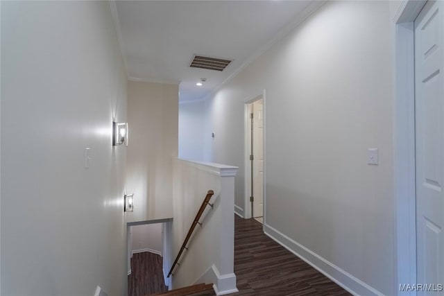 hall featuring crown molding and dark wood-type flooring