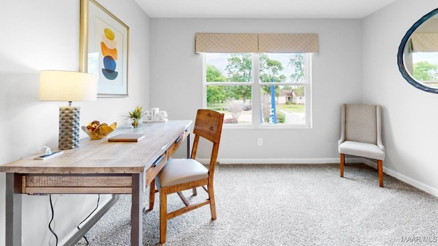 dining room featuring carpet floors