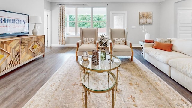 living room with hardwood / wood-style floors