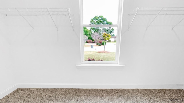 walk in closet featuring carpet floors