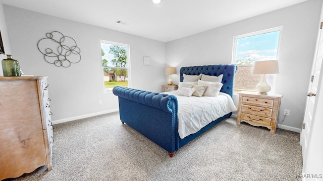 bedroom featuring carpet floors and multiple windows