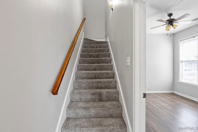 stairs featuring ceiling fan and hardwood / wood-style floors