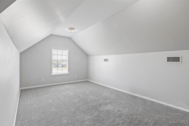 additional living space with lofted ceiling and carpet