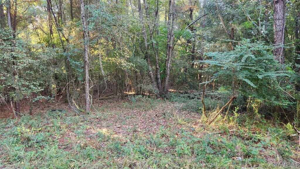 LOT16 Lakeshore Dr E, Tuskegee, AL 36083 - photo 1