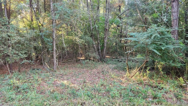 LOT16 Lakeshore Dr E, Tuskegee, AL 36083