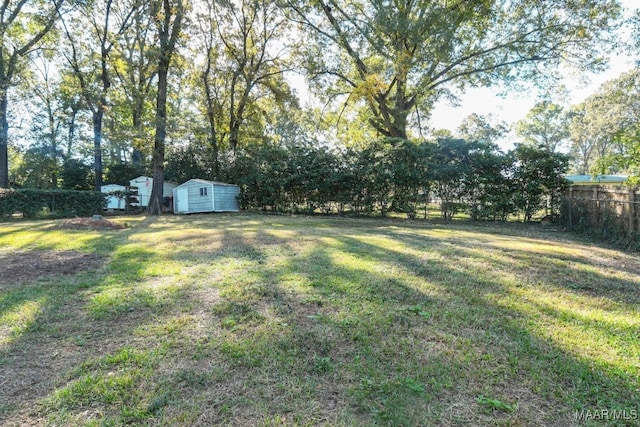 view of yard with a shed