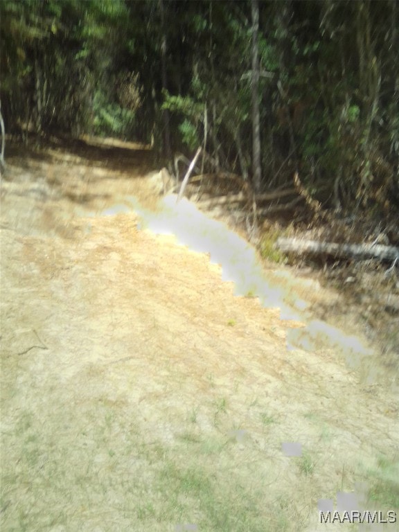 LOT18 Lakeshore Dr E, Tuskegee AL, 36083 land for sale