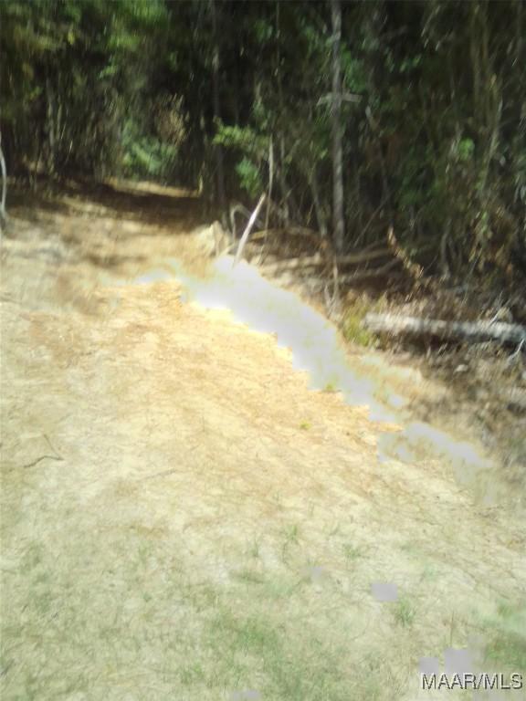 LOT18 Lakeshore Dr E, Tuskegee, AL 36083