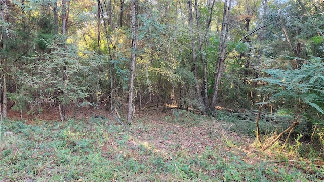 LOT15 Lakeshore Dr E, Tuskegee AL, 36083 land for sale