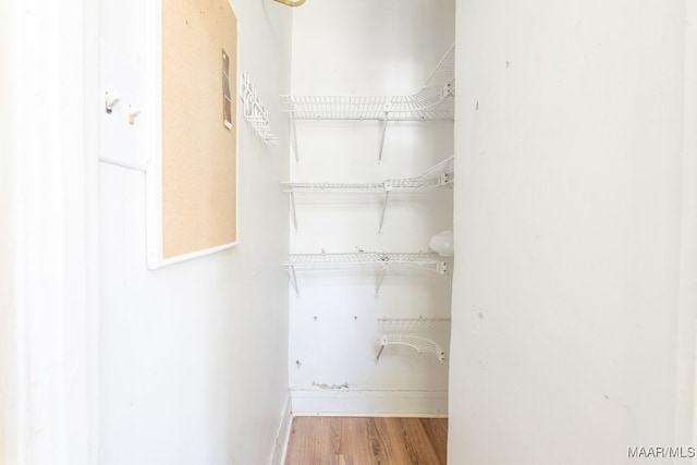 walk in closet with hardwood / wood-style floors