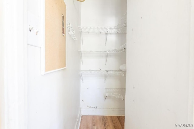 spacious closet with wood finished floors