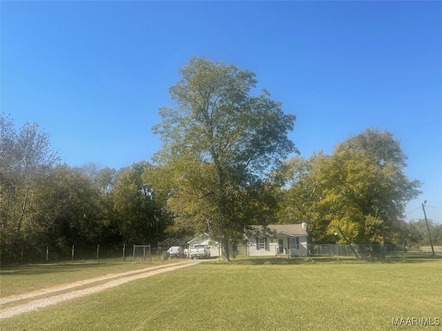 895 Lamar Rd, Hope Hull, AL 36043 - view of yard featuring dirt driveway
