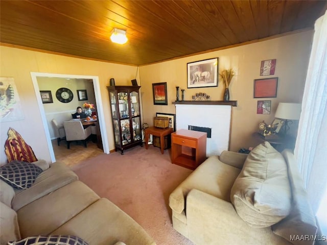 895 Lamar Rd, Hope Hull, AL 36043 - carpeted living room featuring wooden ceiling and a fireplace