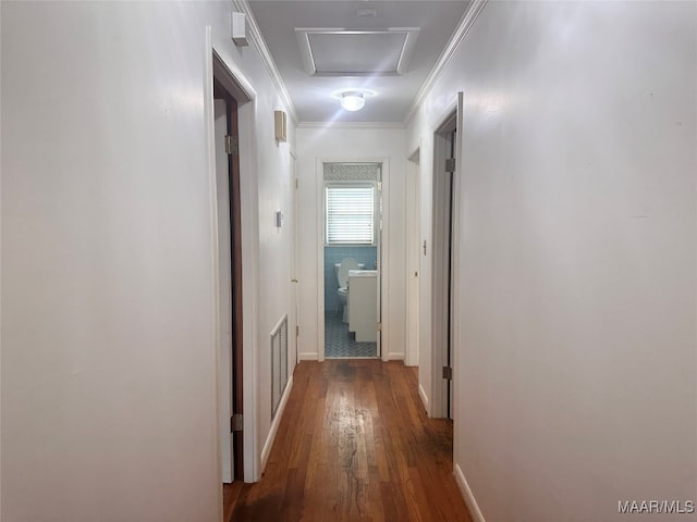 hall featuring ornamental molding and dark hardwood / wood-style flooring