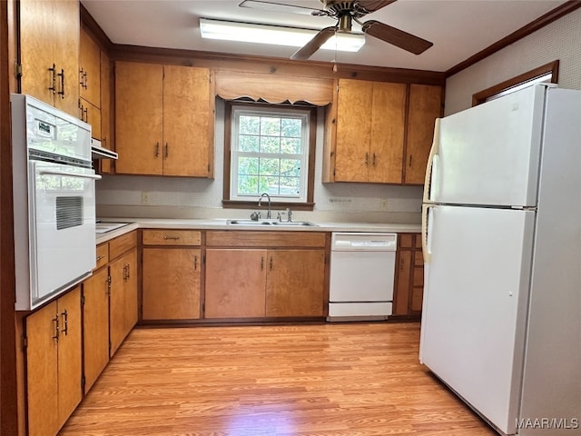 kitchen featuring sink, crown molding, light wood-type flooring, white appliances, and ceiling fan