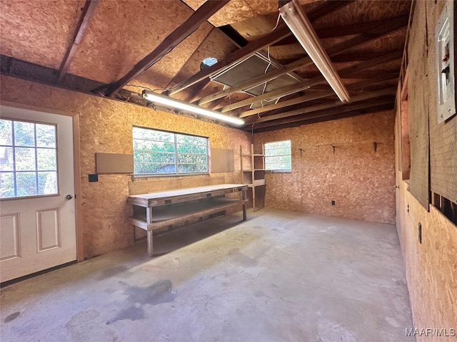 basement featuring a workshop area