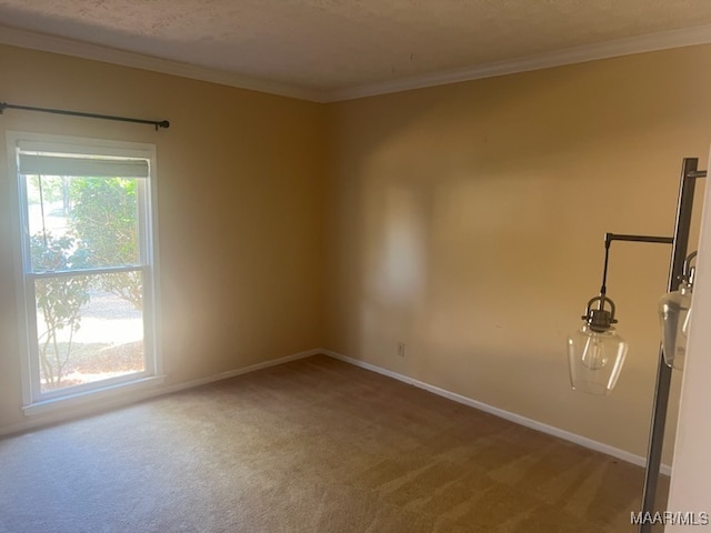 empty room featuring carpet flooring, ornamental molding, and a textured ceiling