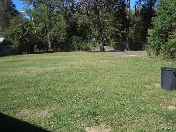 view of green lawn