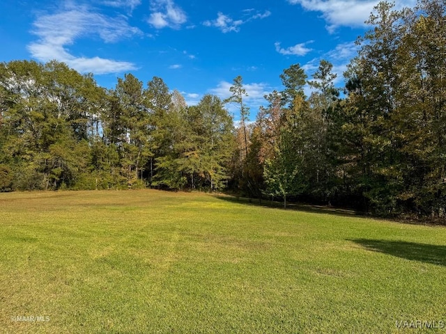 9357 Bashi Rd, Thomasville, AL 36784 - photo 18