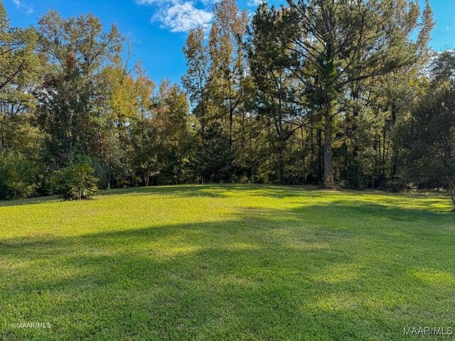 9357 Bashi Rd, Thomasville, AL 36784 - photo 4