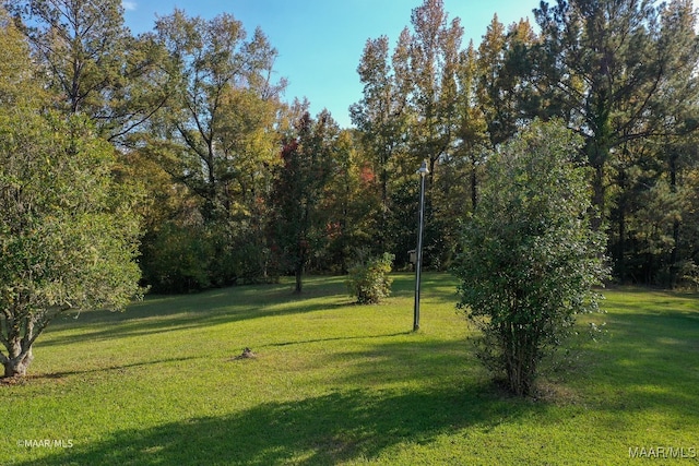 view of home's community with a yard