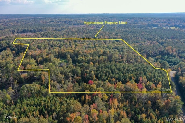 9357 Bashi Rd, Thomasville, AL 36784 - photo 8