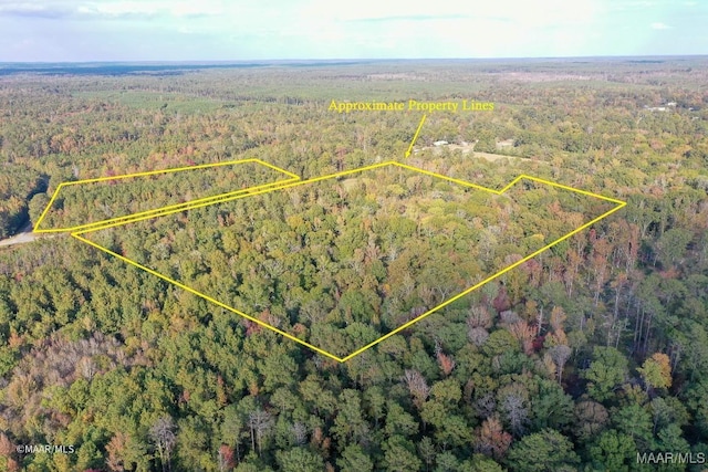 9357 Bashi Rd, Thomasville, AL 36784 - photo 2