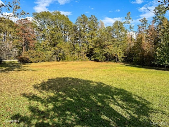 9357 Bashi Rd, Thomasville, AL 36784 - photo 6