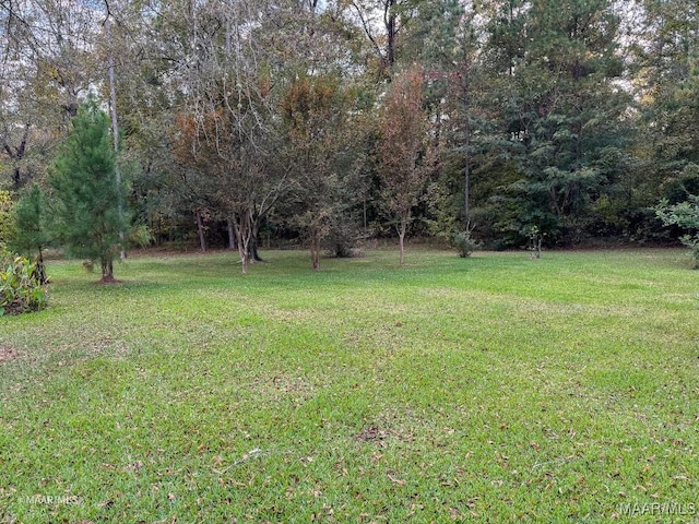 9357 Bashi Rd, Thomasville, AL 36784 - photo 74
