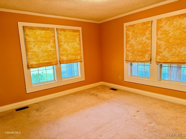 spare room featuring carpet, ornamental molding, and a textured ceiling