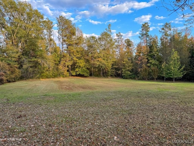 9357 Bashi Rd, Thomasville, AL 36784 - photo 73