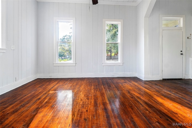 empty room featuring wooden walls and dark hardwood / wood-style floors