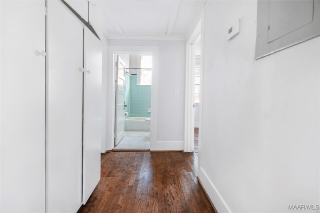 corridor featuring electric panel, dark hardwood / wood-style flooring, and ornamental molding