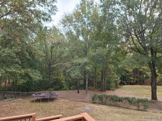 view of yard featuring a trampoline