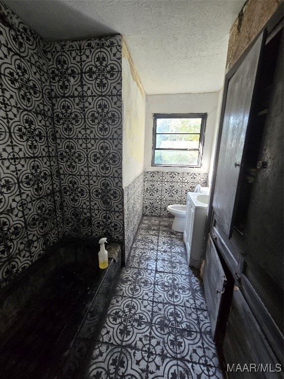 bathroom featuring toilet, a textured ceiling, vanity, and a bathtub