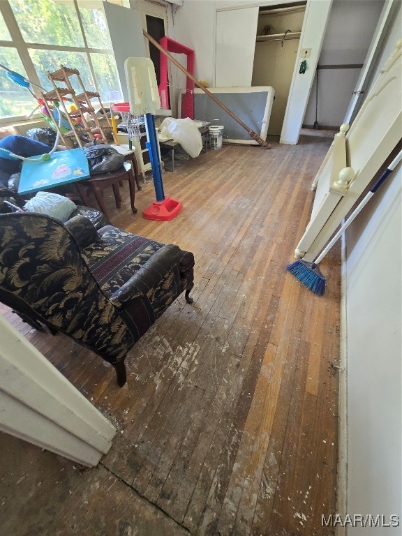 living room with wood-type flooring and a healthy amount of sunlight