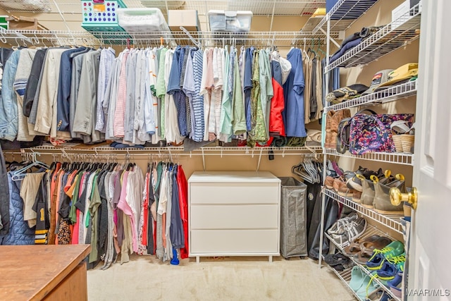 spacious closet with light carpet