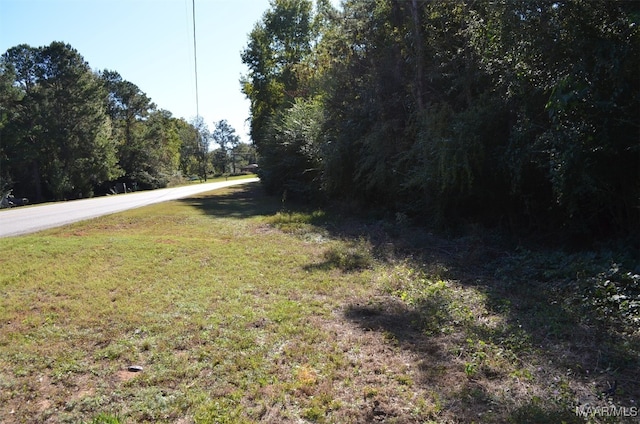 Listing photo 3 for 00 County Road 33, Skipperville AL 36374