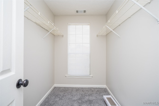 walk in closet featuring carpet flooring