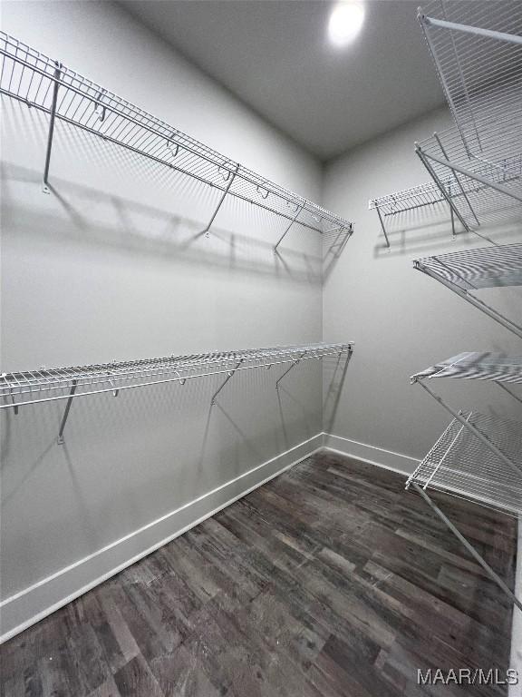 walk in closet featuring dark hardwood / wood-style flooring