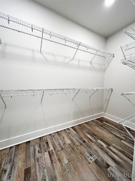 walk in closet featuring wood finished floors