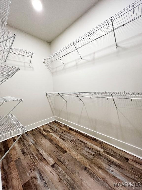 walk in closet with wood finished floors