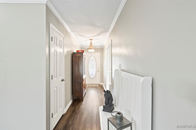 hallway with crown molding and dark hardwood / wood-style floors