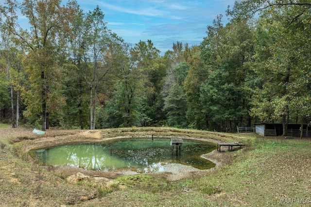 view of swimming pool with a water view