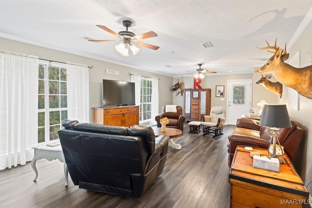 living room with dark wood-type flooring, crown molding, a textured ceiling, and ceiling fan