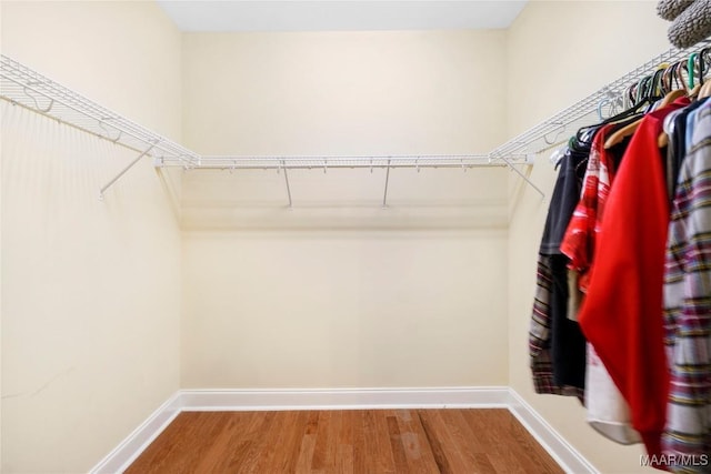 spacious closet featuring wood finished floors